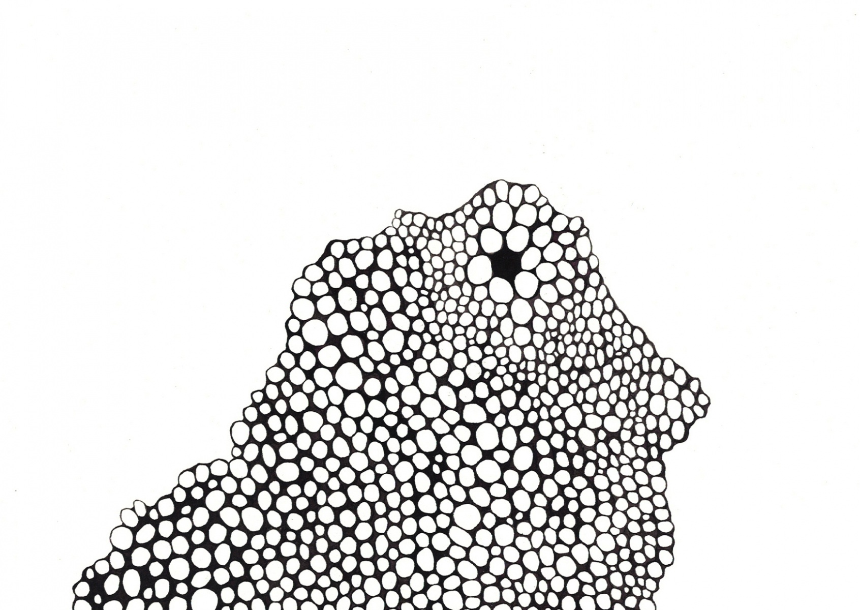 Black-ink-Cups9
