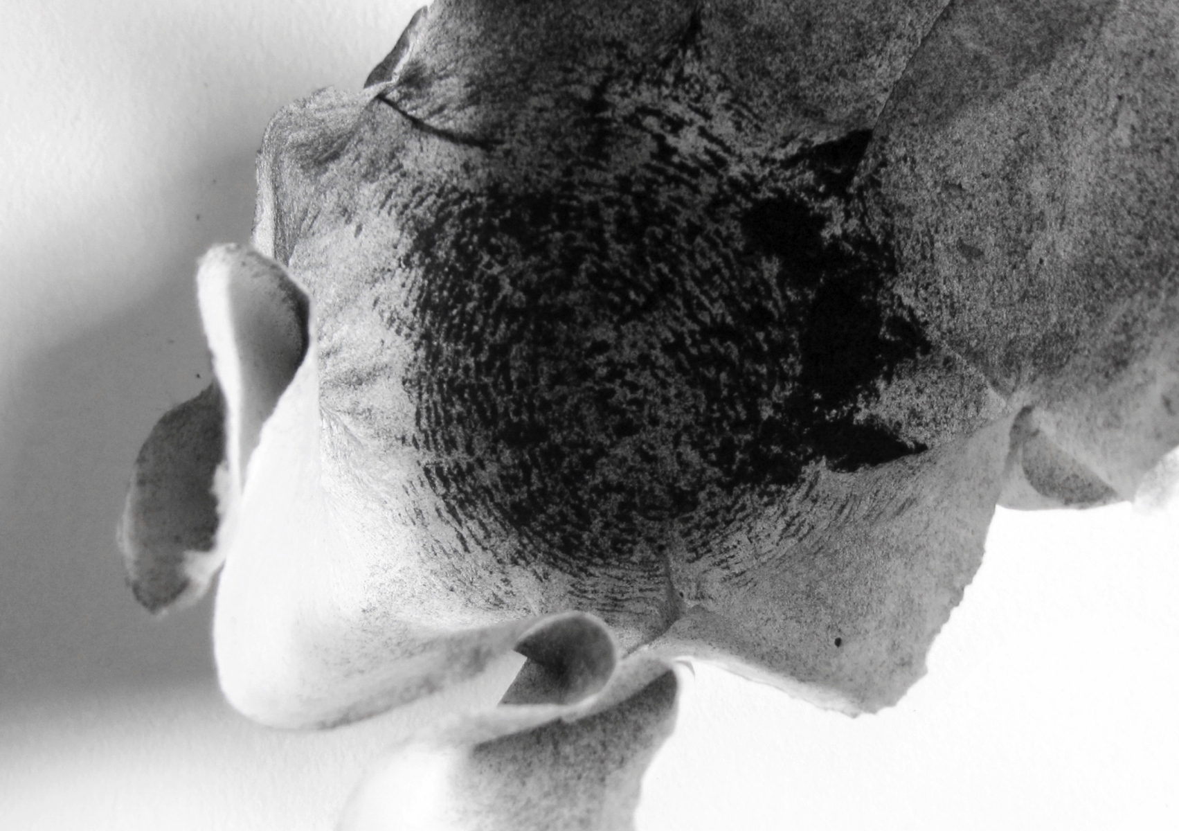Black-ink-Cups28