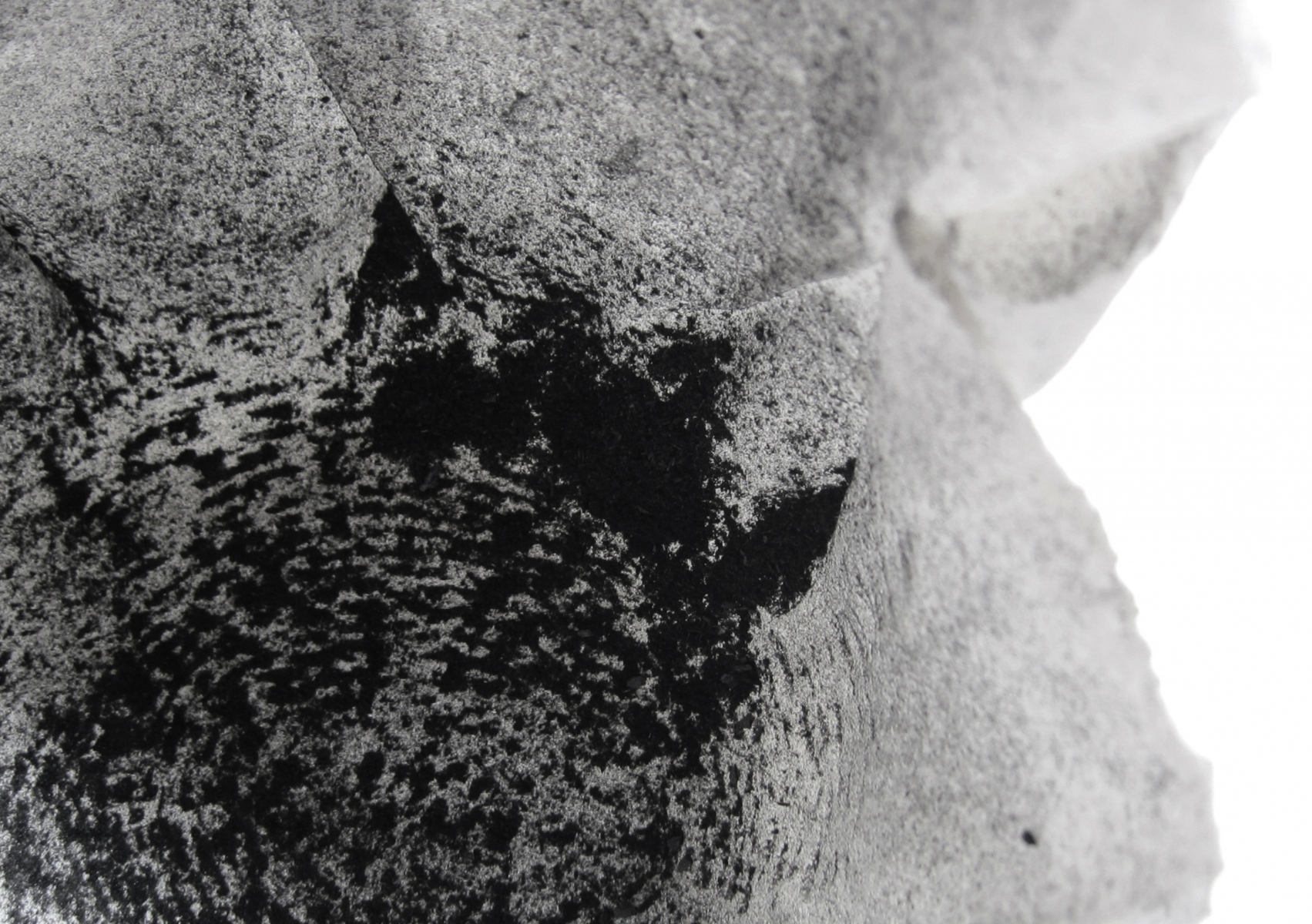 Black-ink-Cups35
