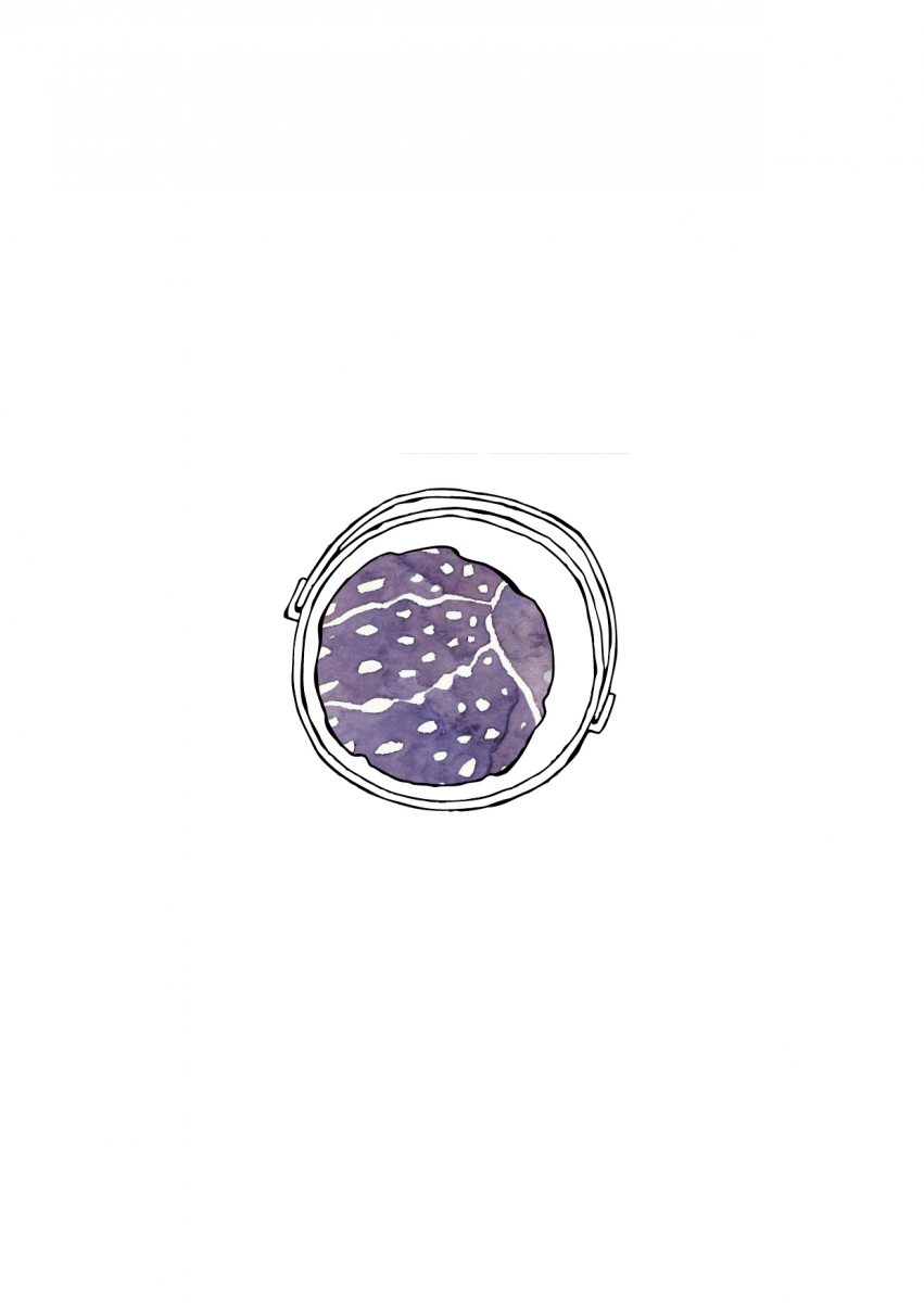 Dyepoiesis7