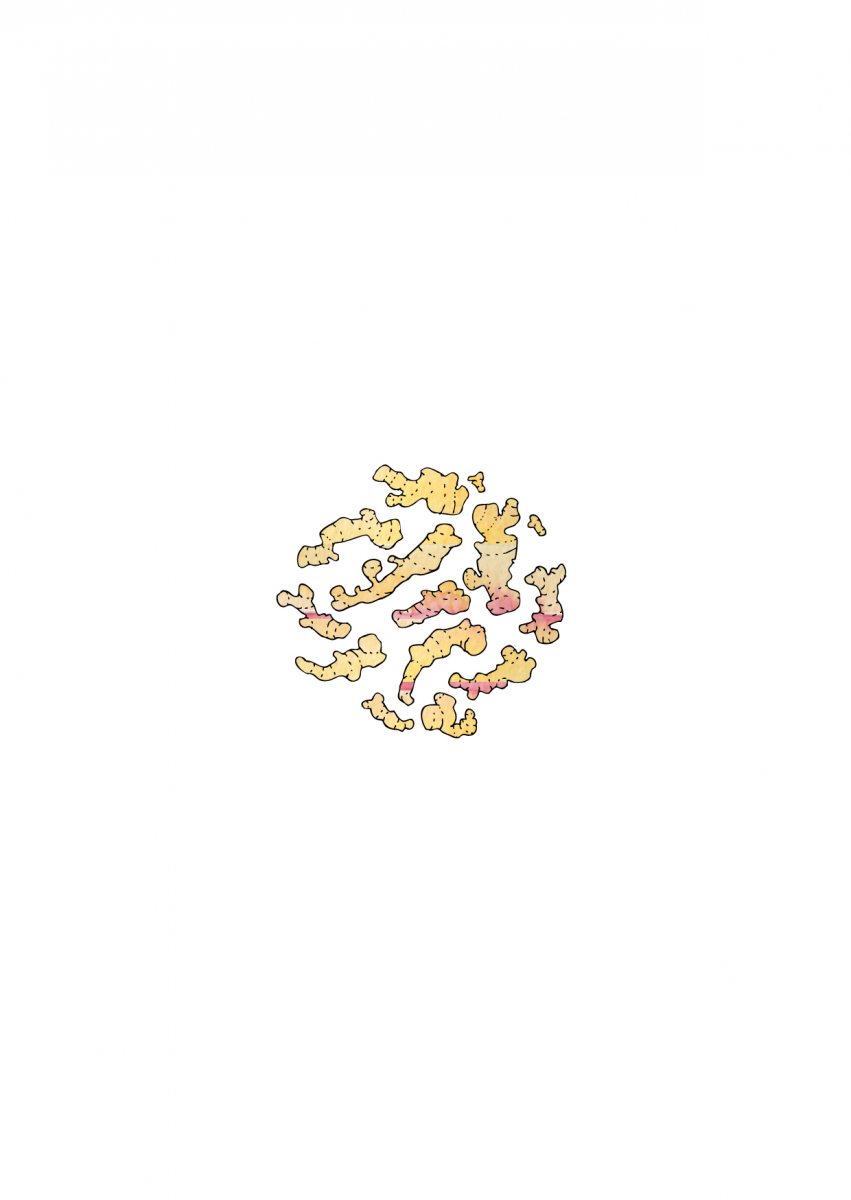 Dyepoiesis15