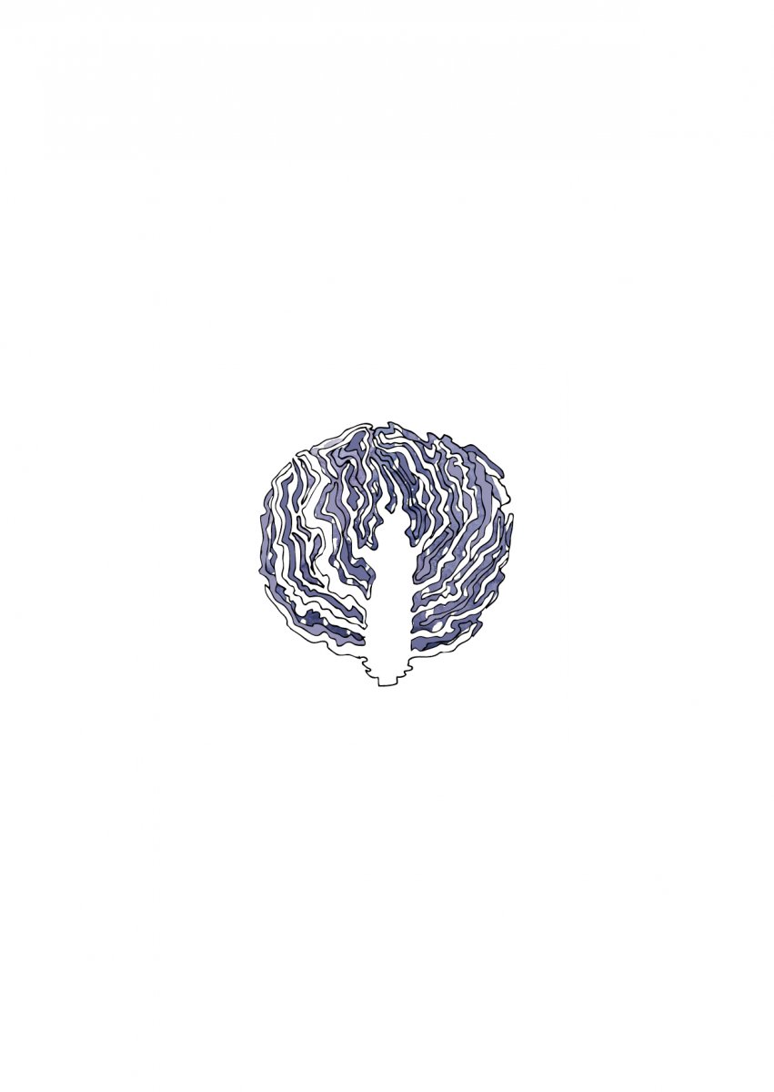 Dyepoiesis37
