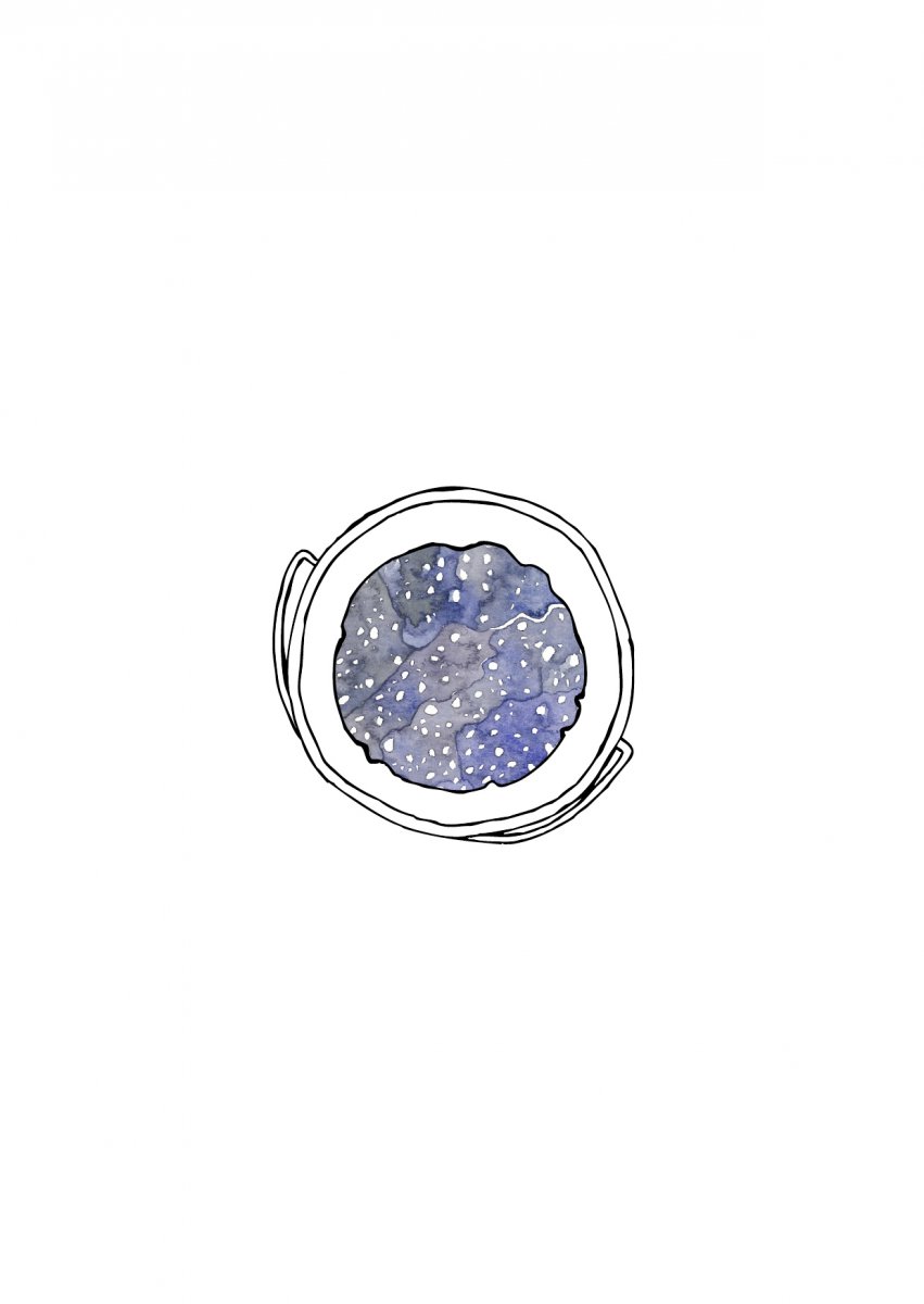 Dyepoiesis39