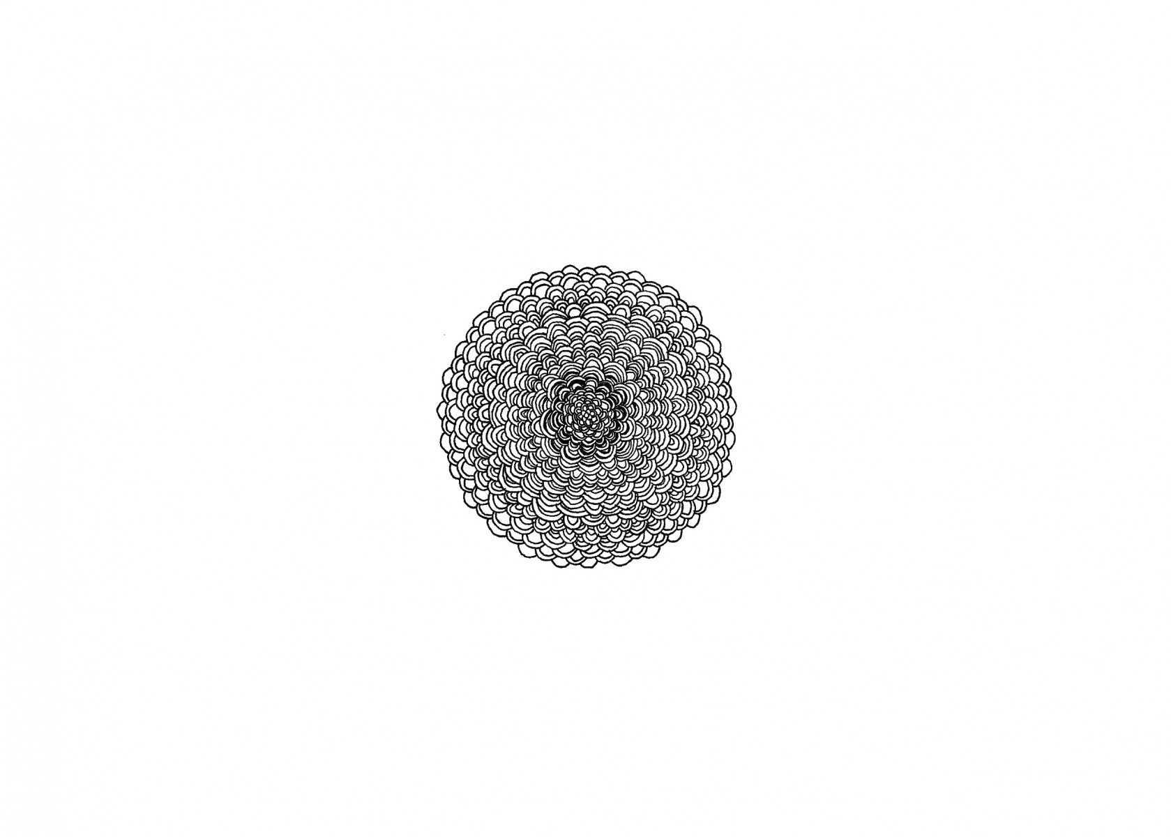 Pinecone_6edit