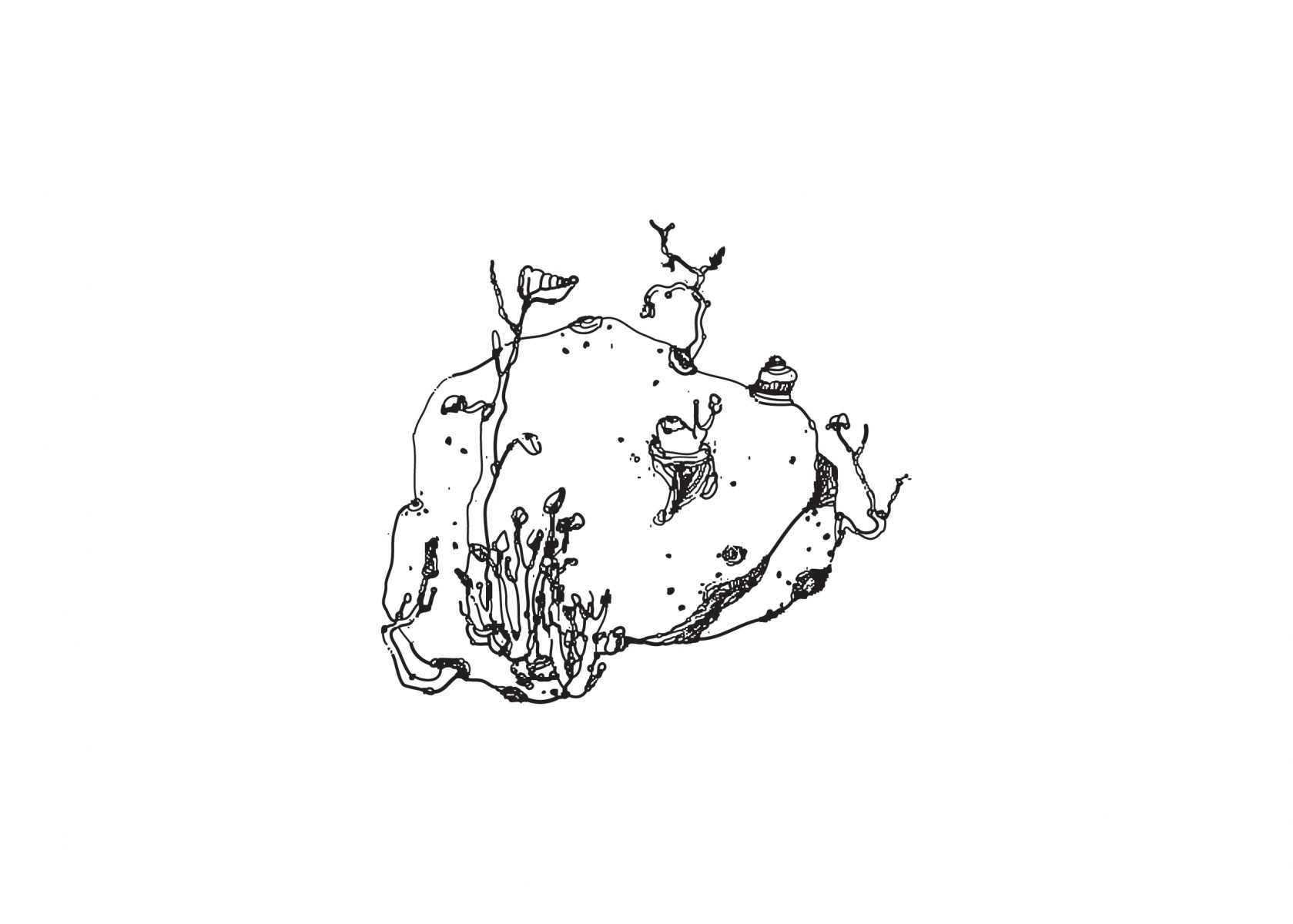 Untitled-1