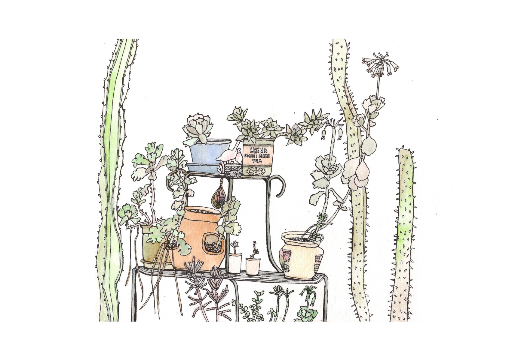 Flora_Street_R