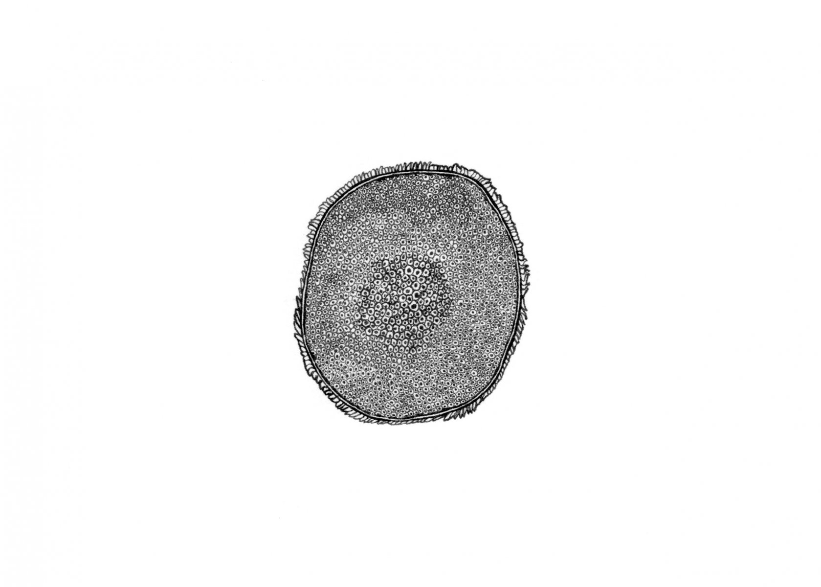 Flower-pod