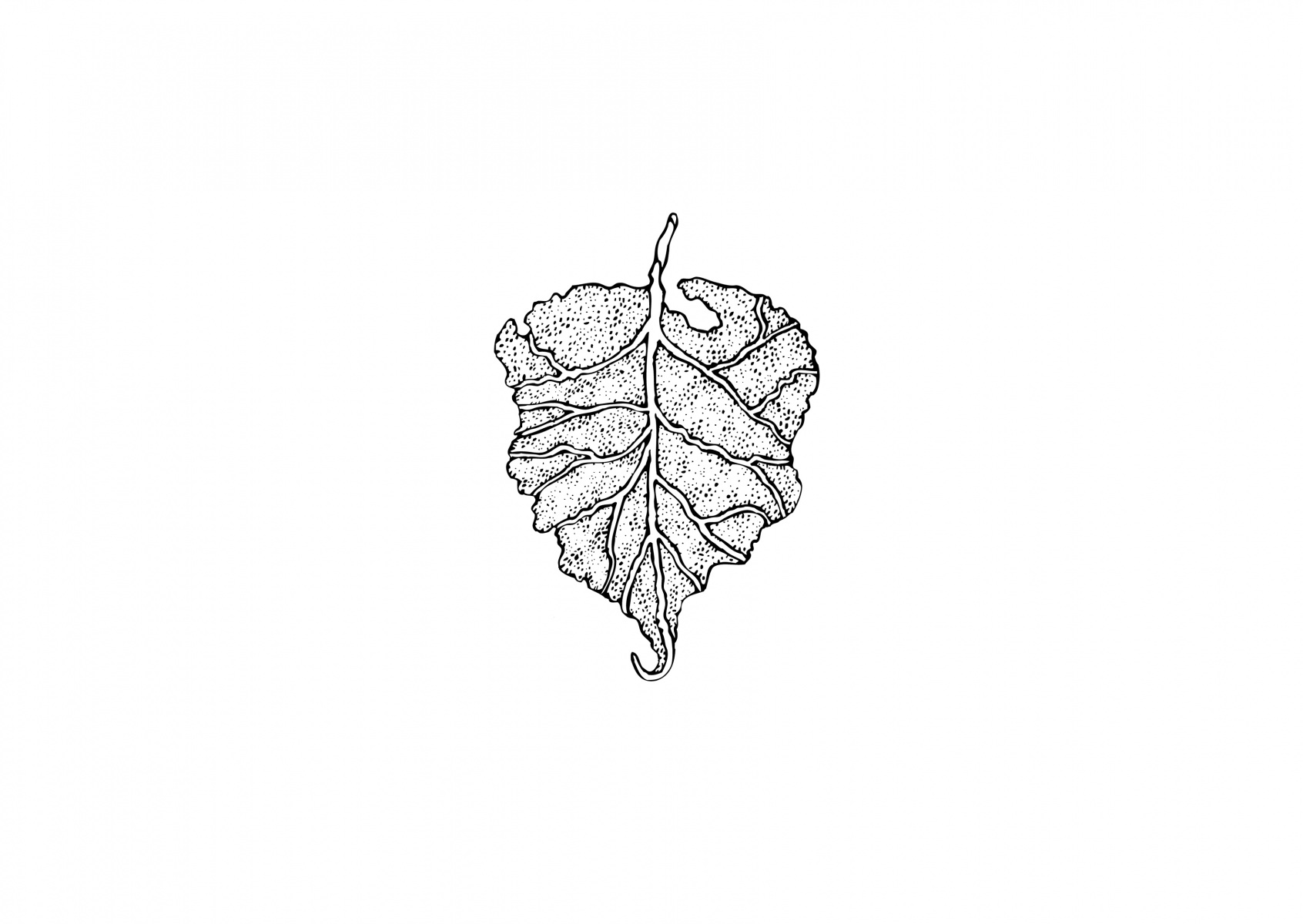 LLDJ14