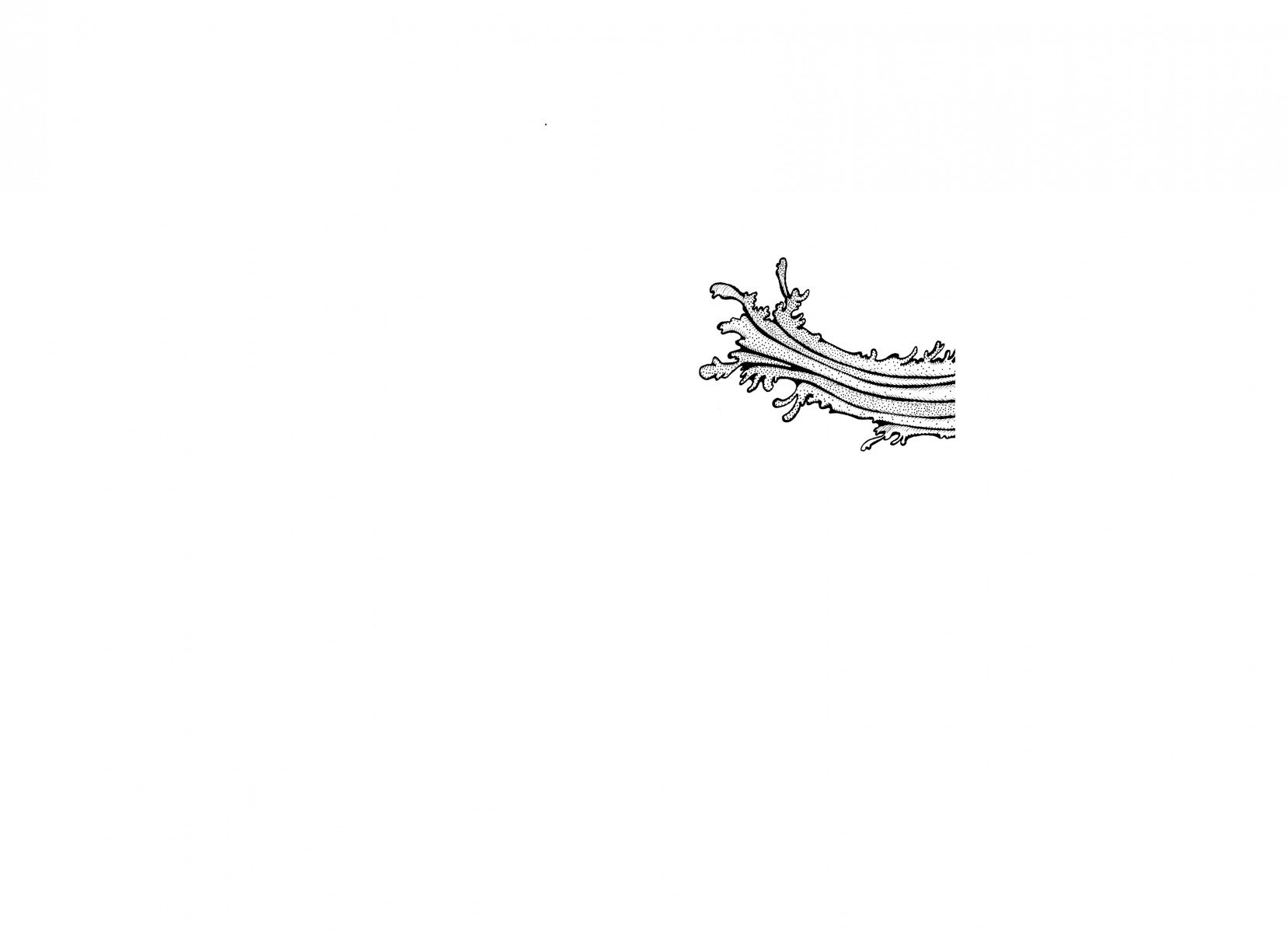 1_LLDJ32-copy