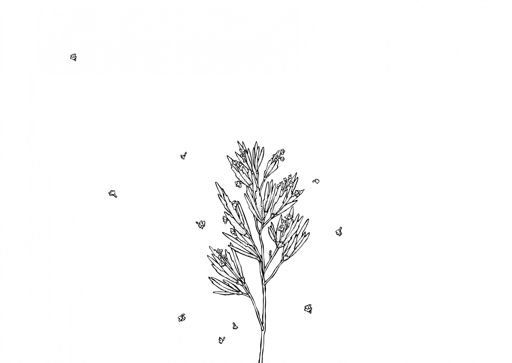 LLDJ36
