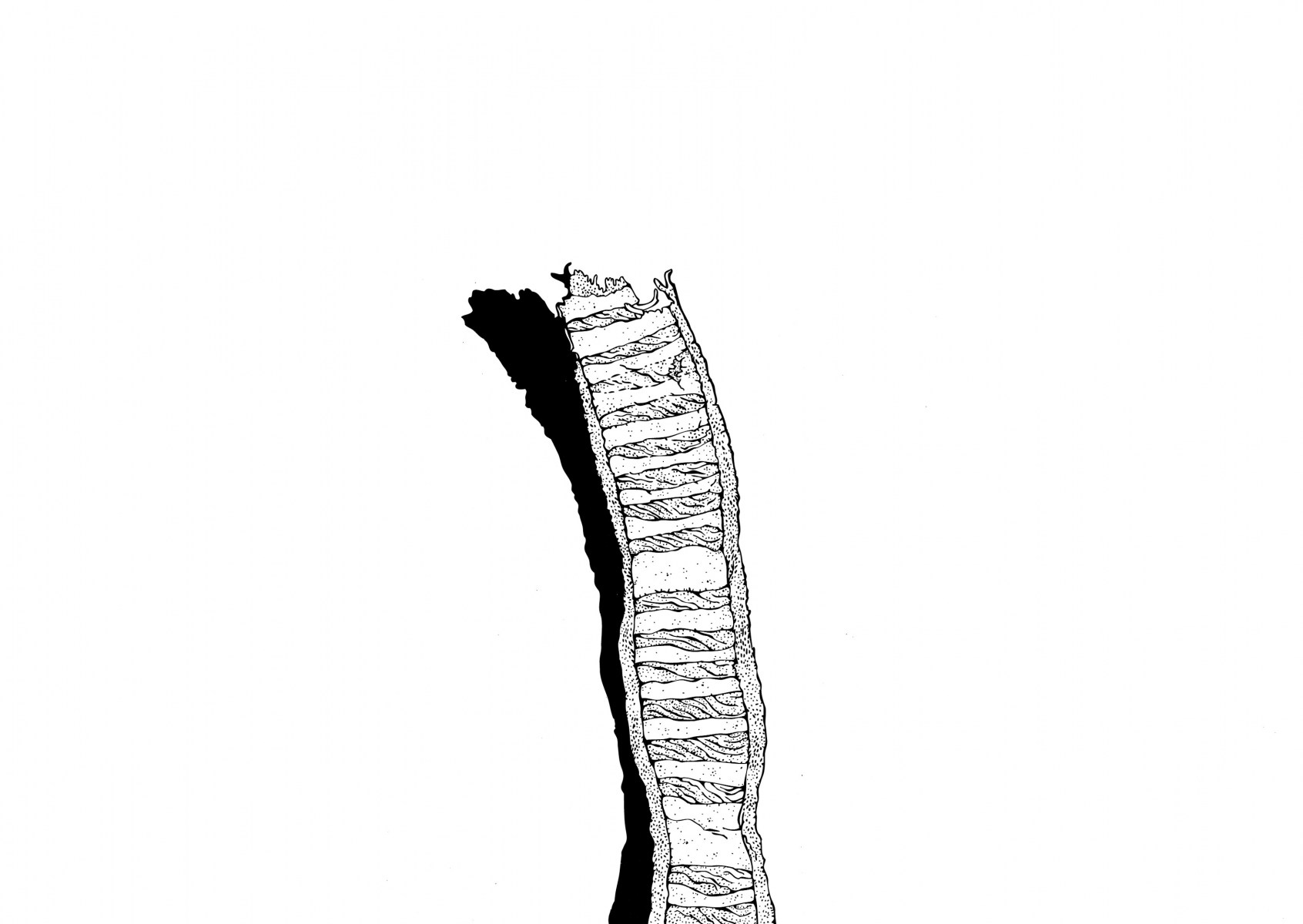 LLDJ40