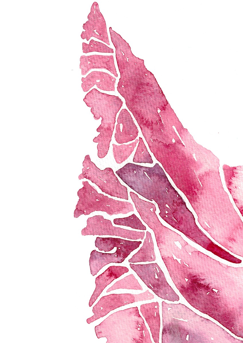 Magenta-ink-weave12