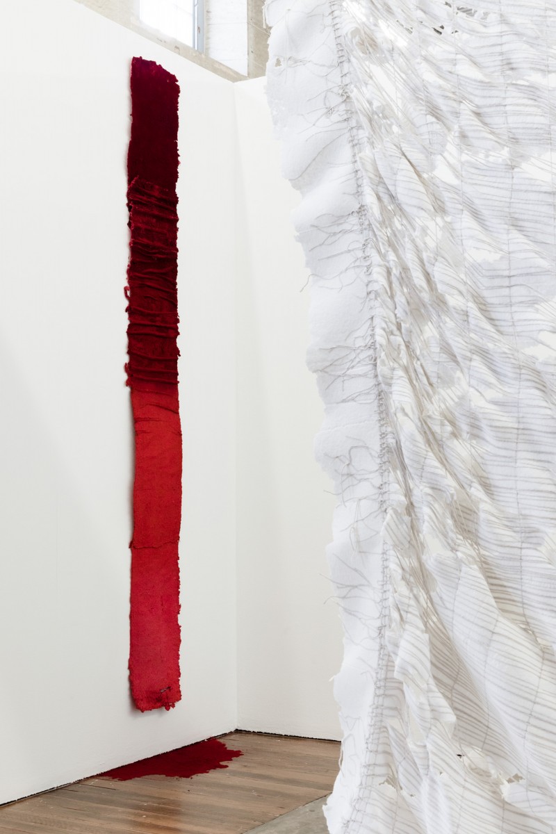 Susie Nelson