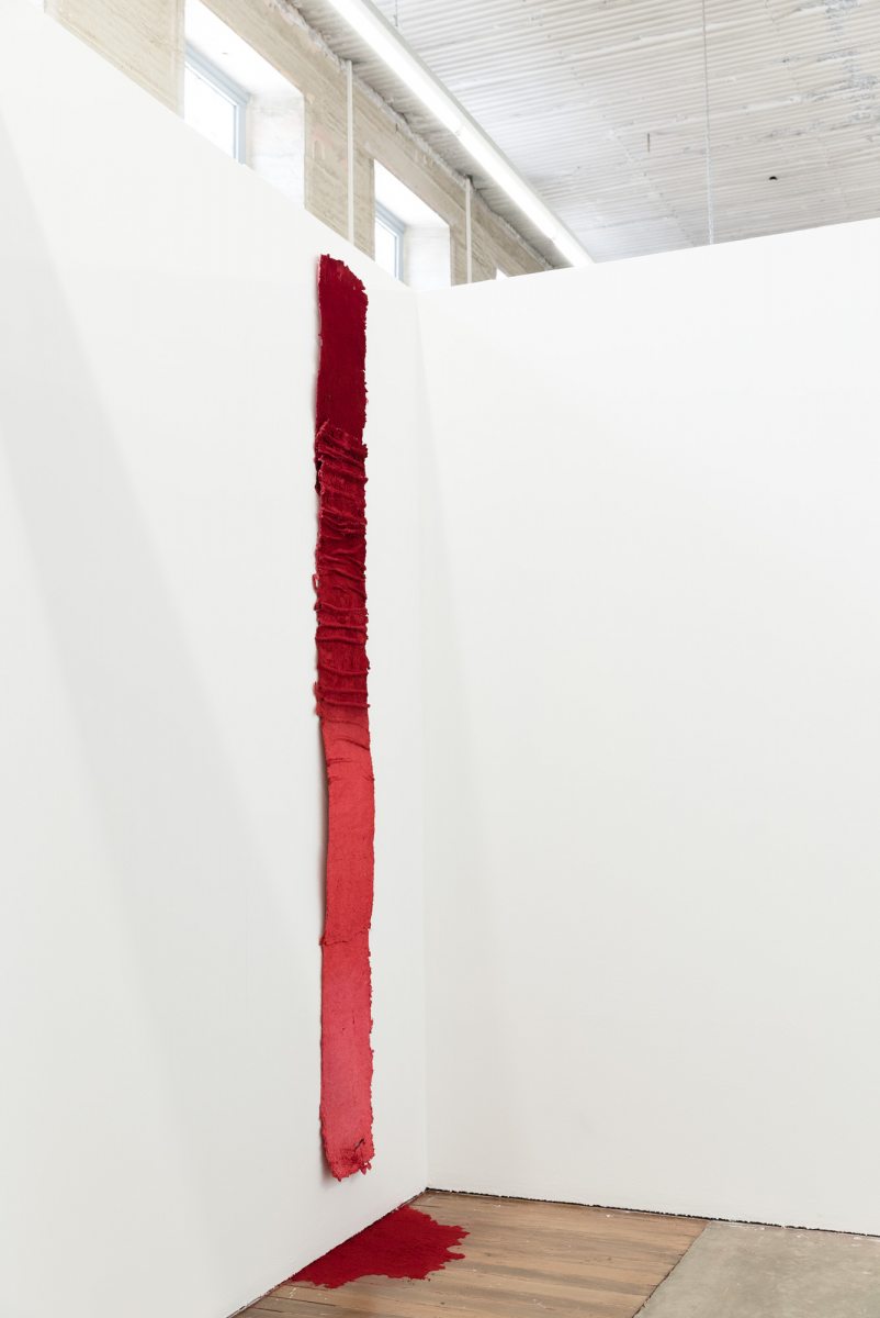 Susie Nelson