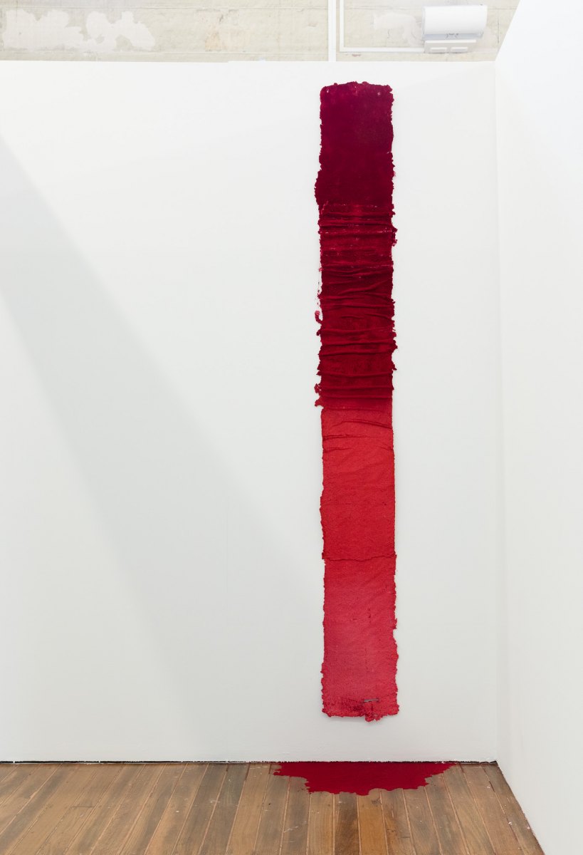 Susie Nelson