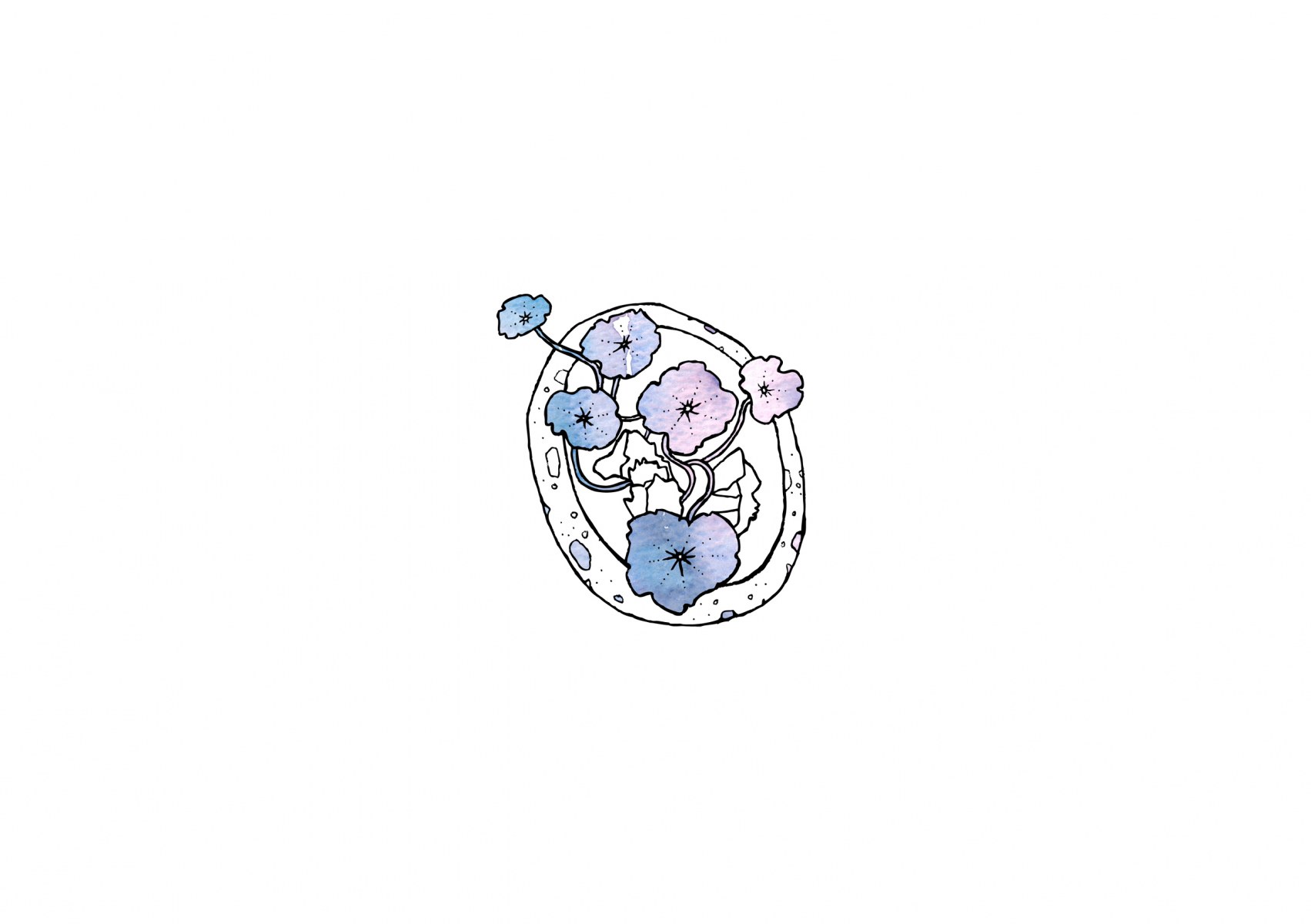 1_Pebbles-plants-and-dumplings13