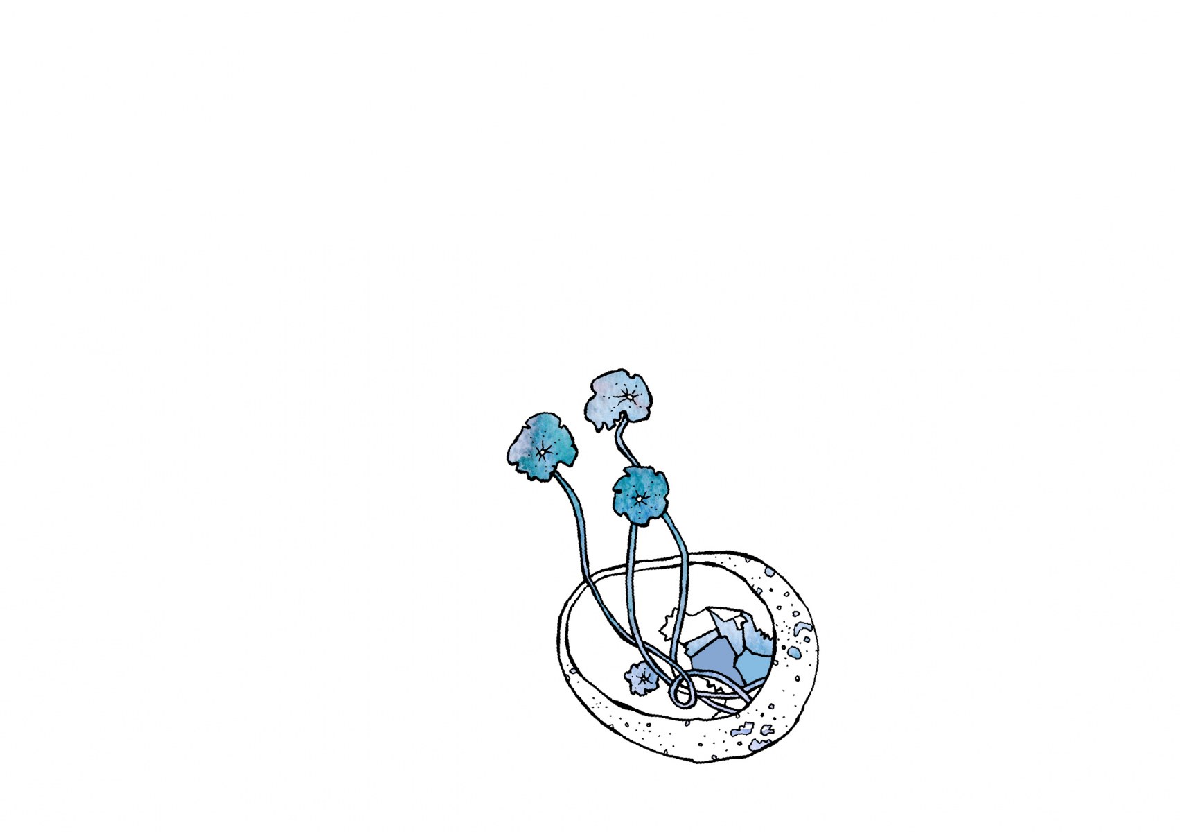 1_Pebbles-plants-and-dumplings23