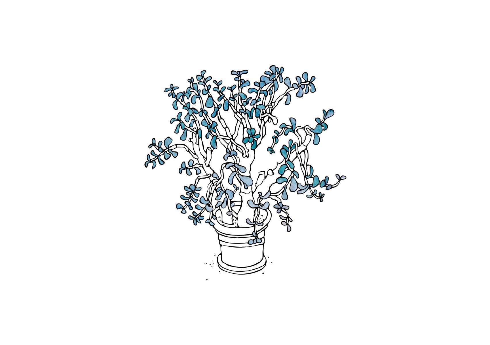 Potplant_R