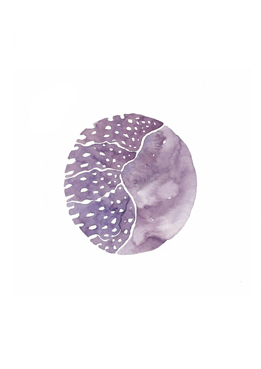Moon-Song-Meditations13