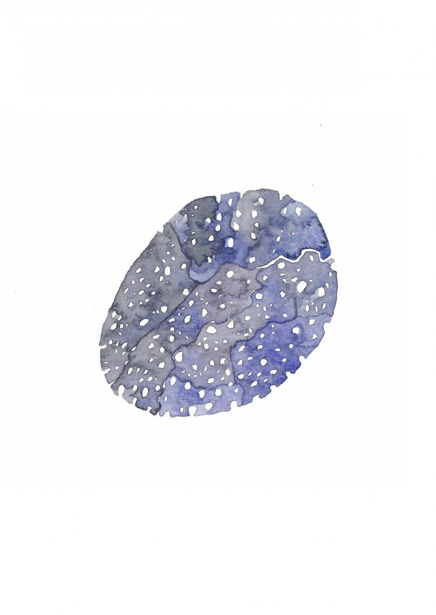 Moon-Song-Meditations17