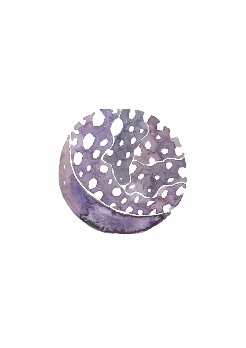 Moon-Song-Meditations23