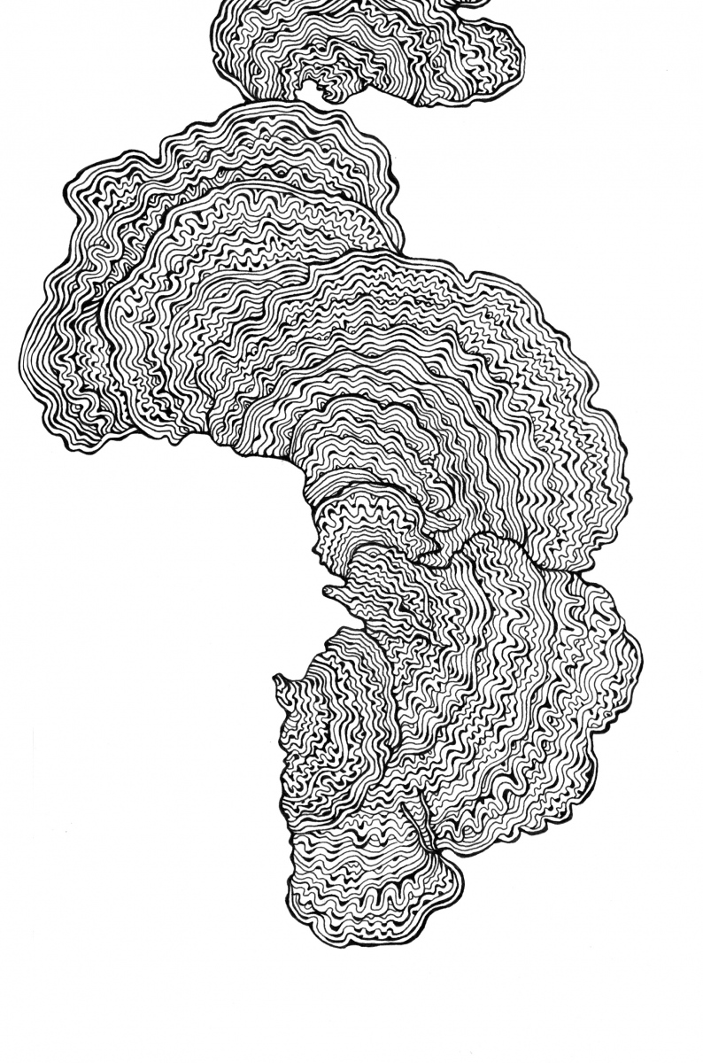 1_Bracket_3R