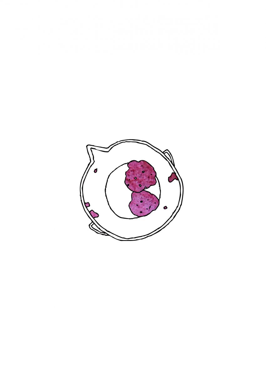 Paperpoiesis21