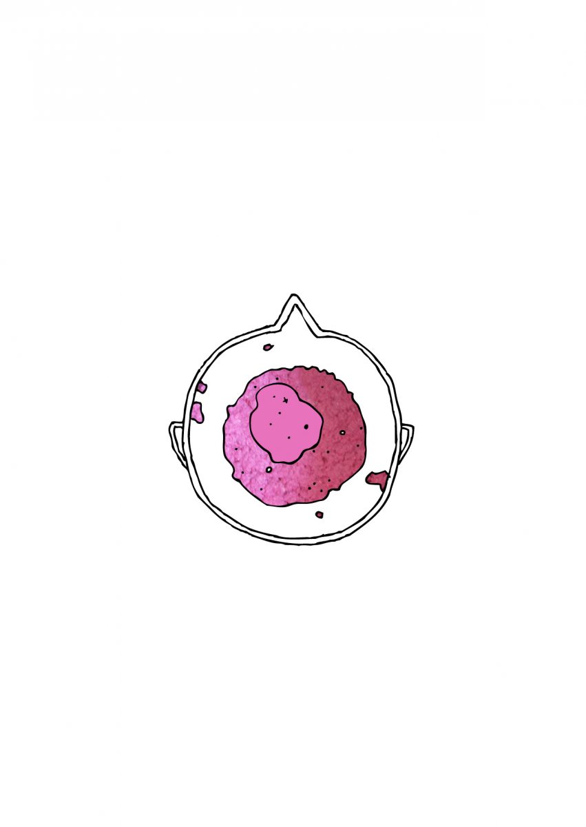 Paperpoiesis33